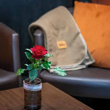 ホテル Quick Palace Zenith